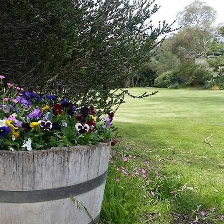 Padthaway Caravan Park Zewnętrze zdjęcie