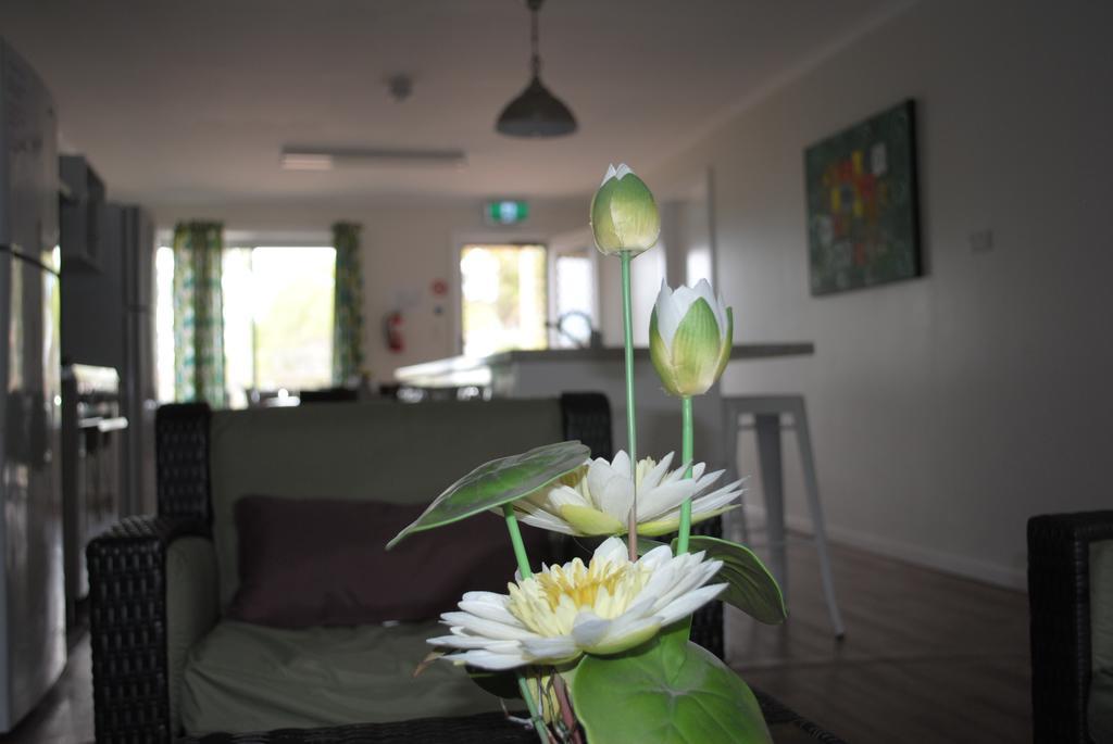 Padthaway Caravan Park Zewnętrze zdjęcie